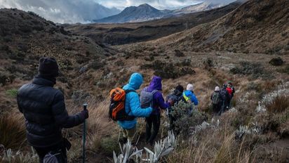 El turismo de naturaleza reúne experiencias que vinculan a los viajeros con la biodiversidad y las comunidades de los territorios.