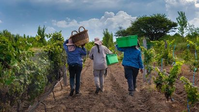 Conocé las maravillas naturales de La Pampa y todos los planes que podés armar alrededor de ella si vas estas vacaciones de invierno.&nbsp;
