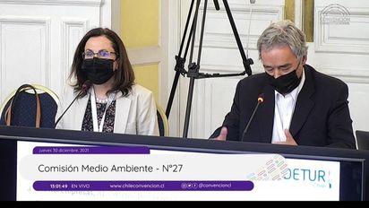 ¿Qué expuso Fedetur ante la Convención Constituyente?