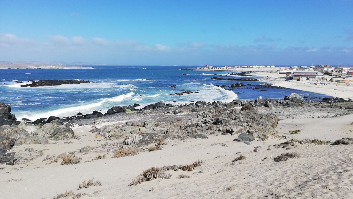 Chañaral de Aceituno es uno de los mejores destinos de Chile para el avistamiento de ballenas y fauna marina durante el verano.