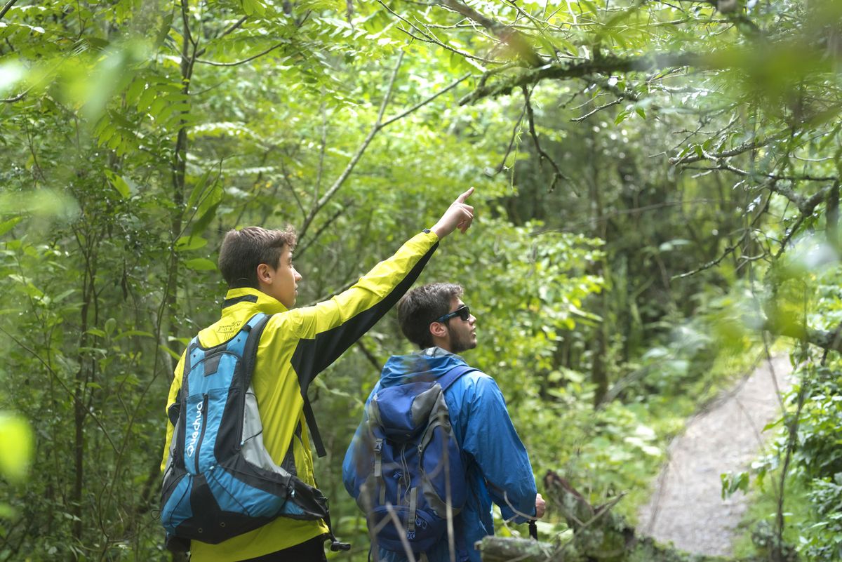 Salta: Reserva Natural Quebrada de San Lorenzo es ideal para relajarse y descansar en Salta. 