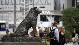 Descubre los mejores monumentos a animales para recorrer el mundo