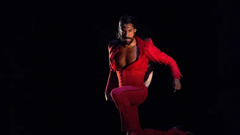Ifema suma shows de flamenco en sus ferias.