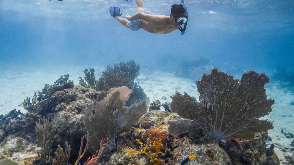 Belice es el lugar ideal para hacer esnórquel.