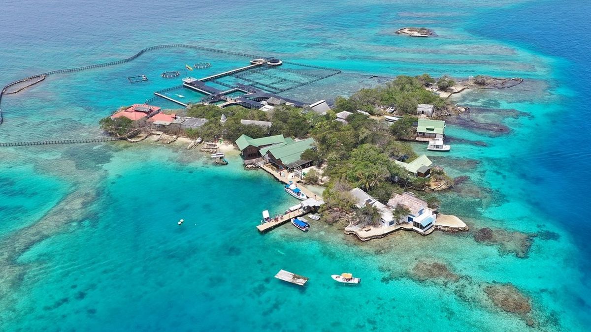 Cartagena forma parte del portafolio de EM Hotels y se distingue por la fusión de historia, cultura y gastronomía que enriquecen la experiencia frente al mar.