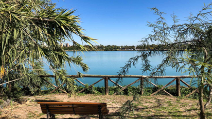 Buenos Aires: la fascinante Reserva Ecológica a pocos minutos del Obelisco