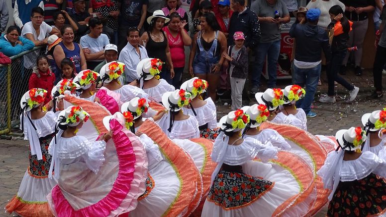 Decretan reducción del IVA para feriado de Carnaval.