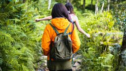 Colombia postula ocho municipios a los ‘Best Tourism Villages 2025’ de ONU Turismo, destacando su apuesta por el turismo rural sostenible y comunitario.