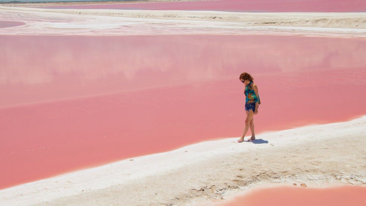 Explora todo lo que el Golfo de México tiene para ofrecer en estas hermosas playas.