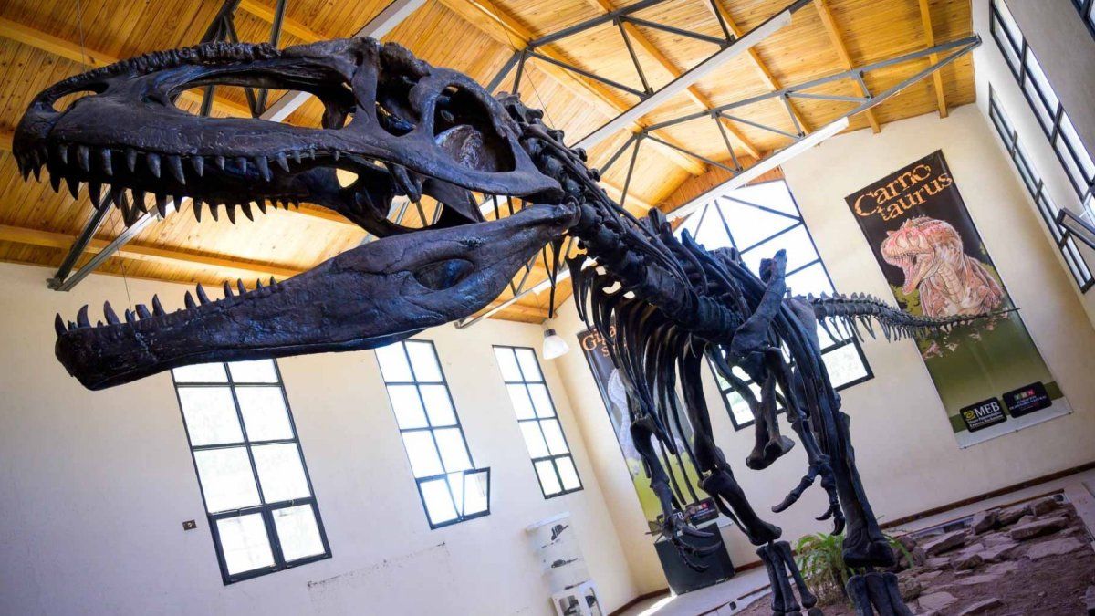 Vacaciones de invierno 2025 en Patagonia: Villa El Chocón es conocida como el Valle de los Dinosaurios.