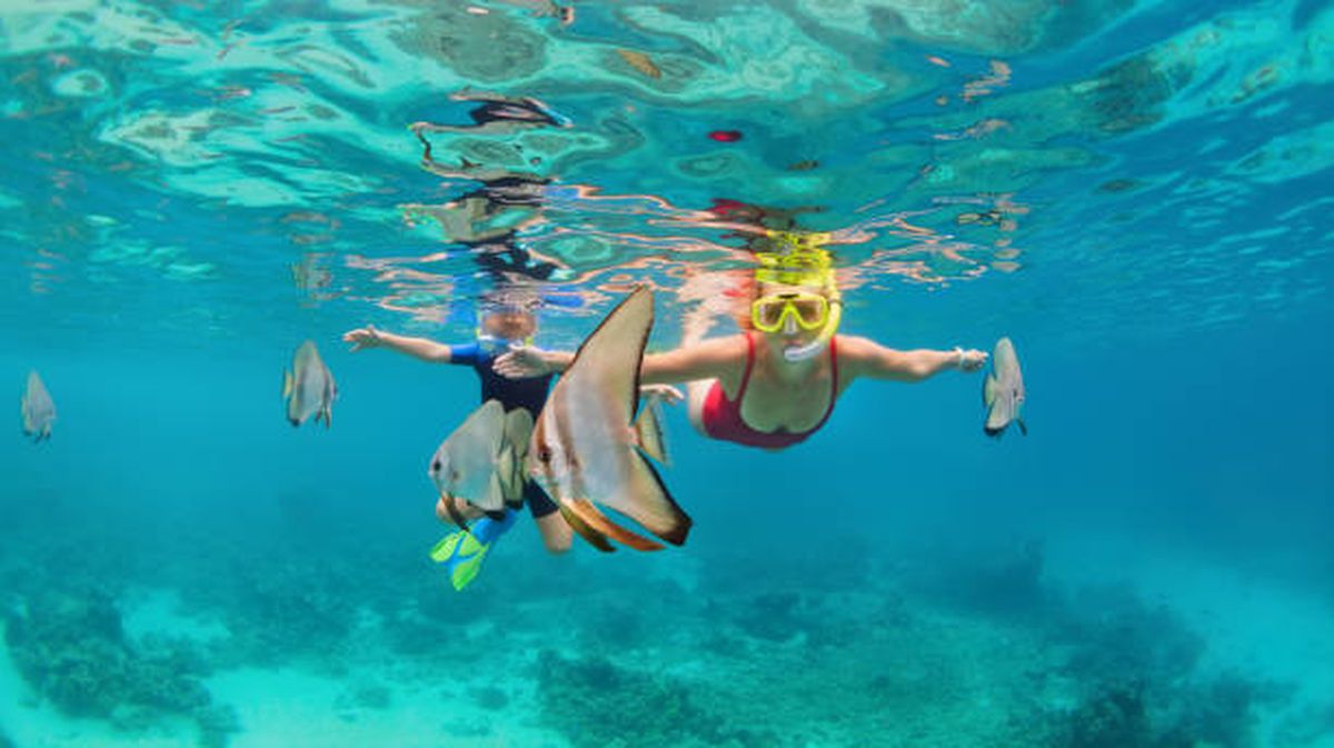 Explora las maravillas submarinas de Isla Mujeres mientras practicas snorkel en sus aguas cristalinas y descubres un mundo lleno de vida marina.