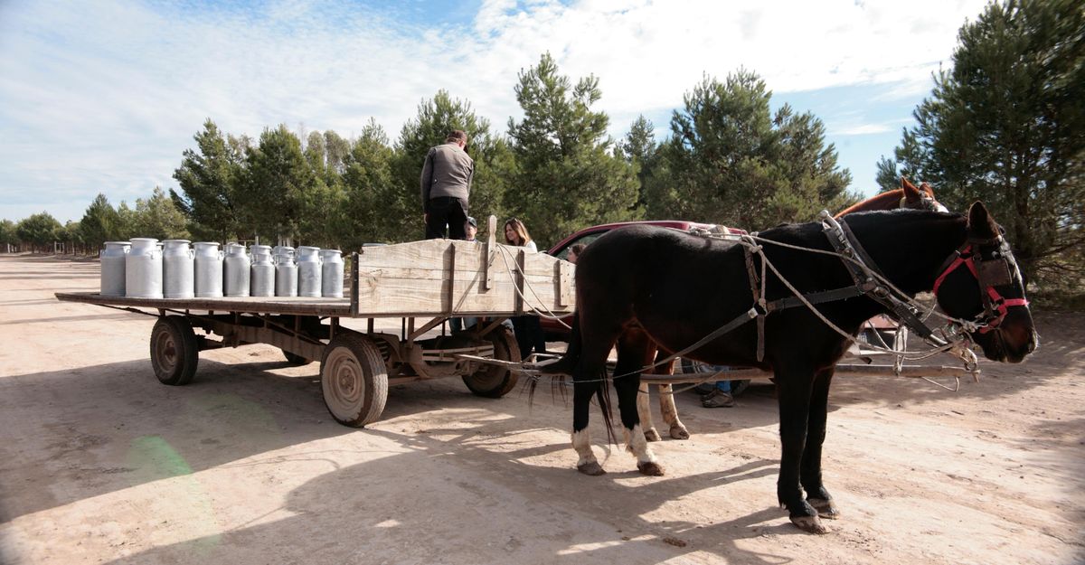 Argentina: los menonitas de La Pampa elaboran sus propios alimentos. 