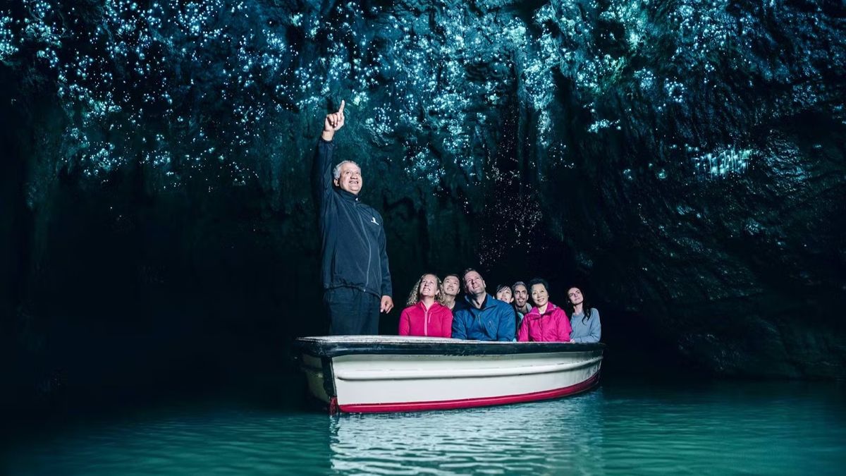 Vacaciones: las cuevas de Waitomo ofrecen un espectáculo visual gracias a la bioluminiscencia.
