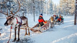 Fin de Año en Europa: Laponia se presenta como un destino ideal, con actividades como safaris en huskies.