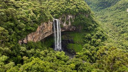 Escapadas: ¿Qué hacer en el Amazonas?