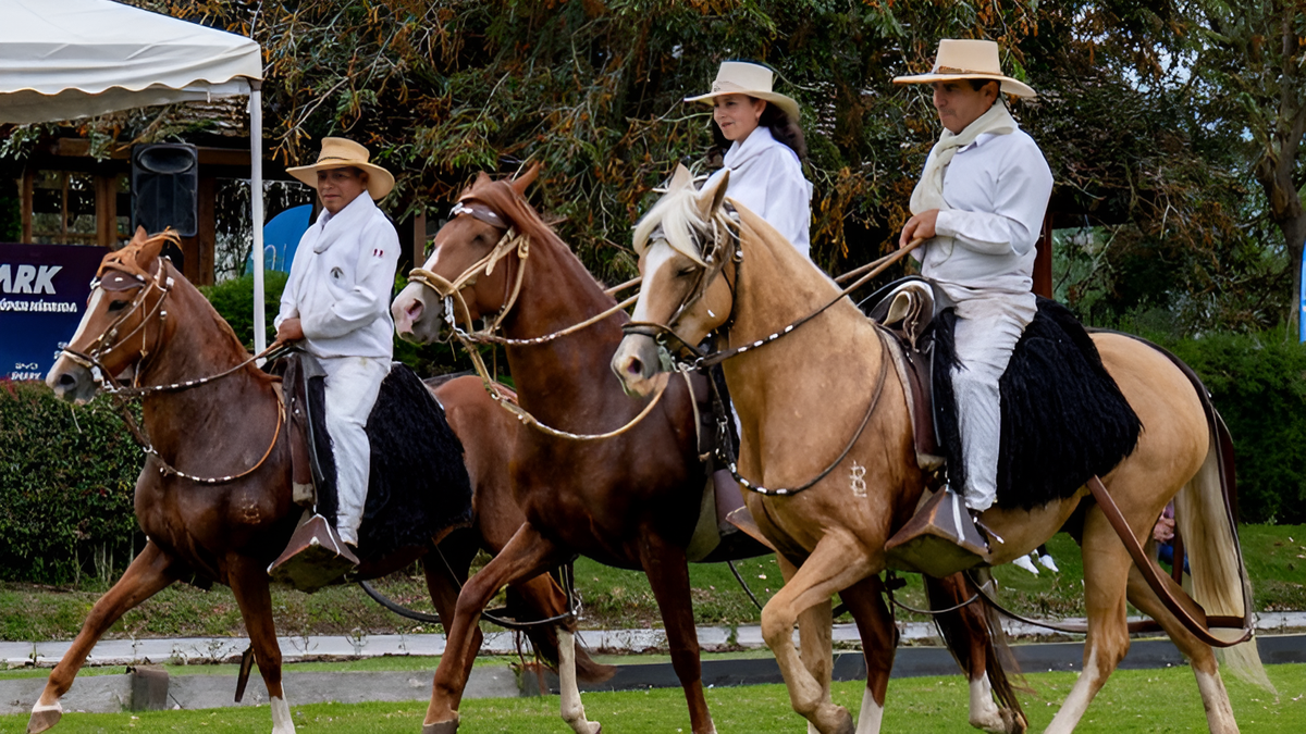 Participantes del VIII Concurso de los Valles del Caballo Peruano de Paso, promovido por PromPerú.