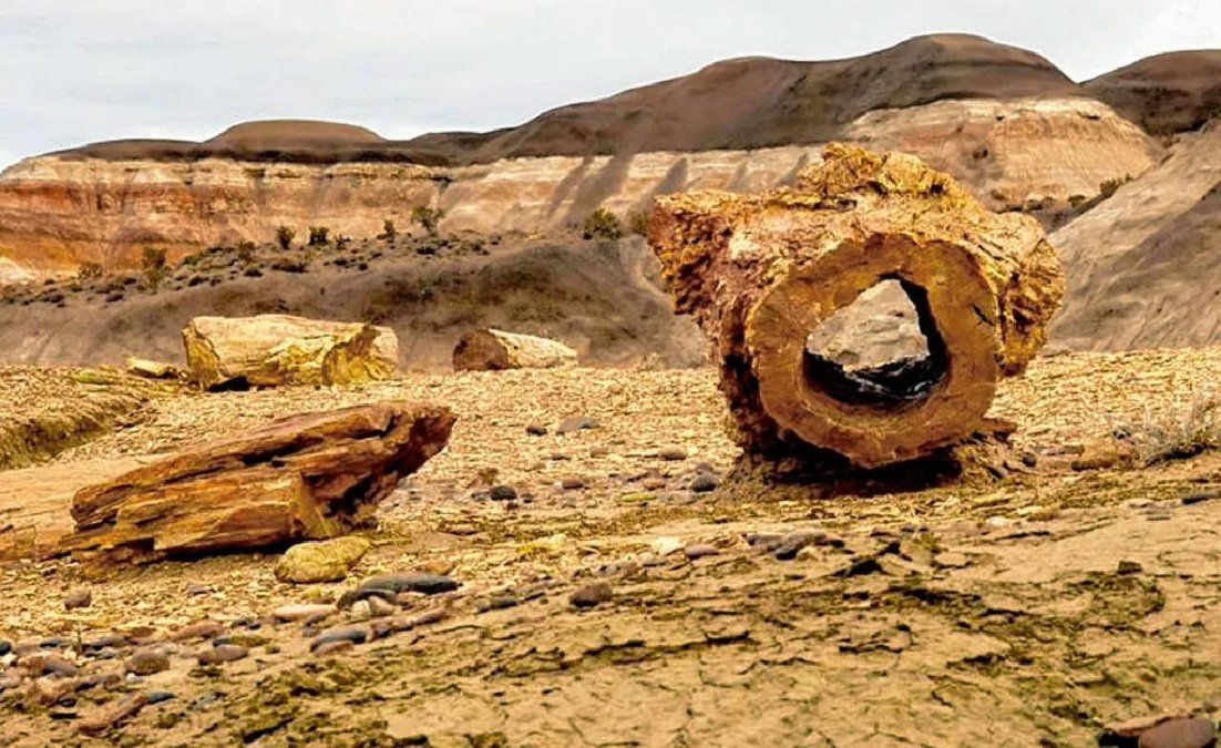 El Bosque Petrificado de la Patagonia se encuentra al sur de la provincia de Chubut.