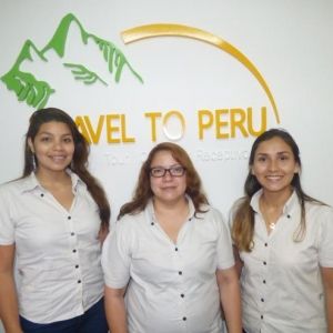 - Ladevi Medios y Soluciones