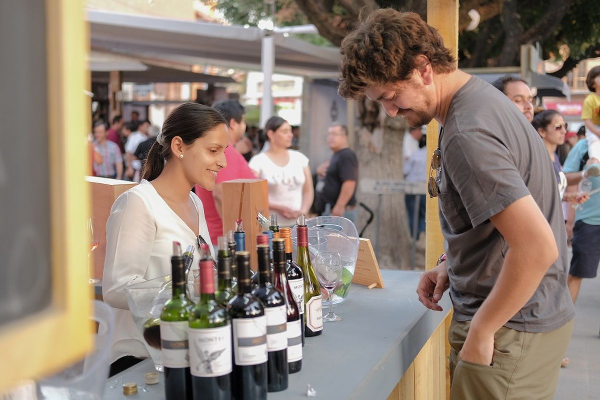 La vendimia de Colchagua contará con un protocolo especial para evitar brotes de Covid-19.&nbsp;