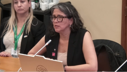 Subsecretaria de Turismo, Verónica Pardo, durante su presentación en la Comisión de Economía de la Cámara de Diputados y Diputadas.&nbsp;