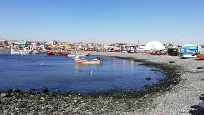 Chañaral de Aceituno se ubica dentro de la zona en la que sería afectada por la minera Dominga.&nbsp;