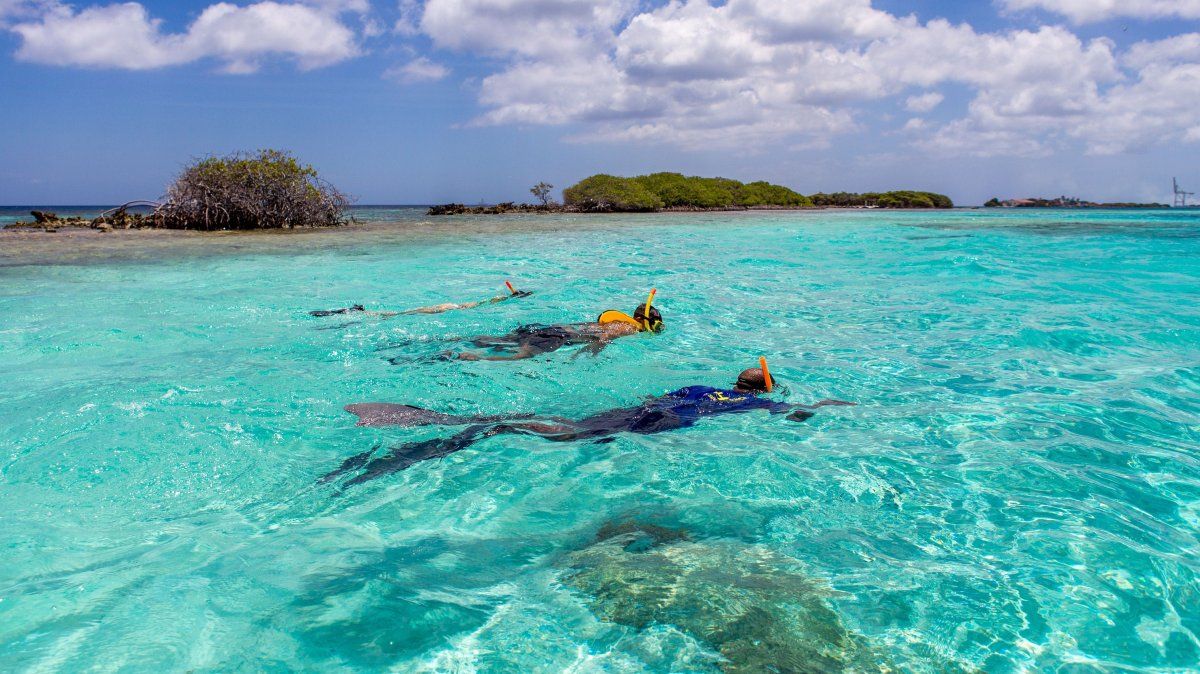 En actividad desde 1986, Pelican Adventures es uno de los más antiguos e importantes turoperadores de Aruba.