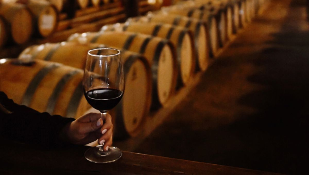 Sabores Alto Colchagua: descubre la nueva ruta turística de EFE por las viñas de San Fernando&nbsp;