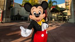 Revisa las opciones para conocer los parques de Disney en Orlando. 