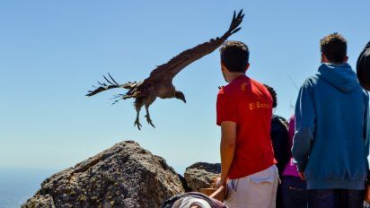 La Quebrada de Los Cóndores se encuentra en el departamento Gral. Ángel Vicente Peñaloza, La Rioja.