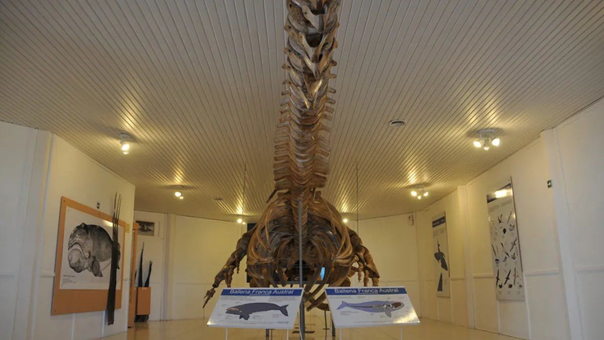 Chubut: el Centro de Visitantes Istmo Carlos Ameghino es una opción ideal para evitar la lluvia en este invierno.