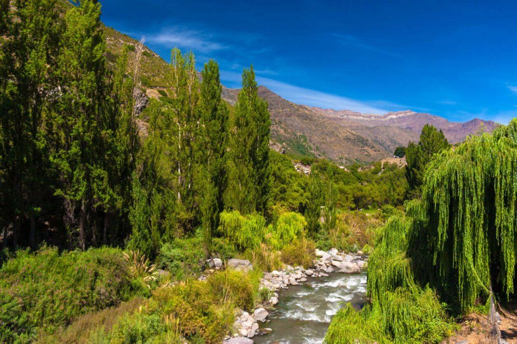 En el Cajón del Maipo hay tours de vino, paseos a la playa, trekking e, incluso, paseos de compras que van desde los $11.000.