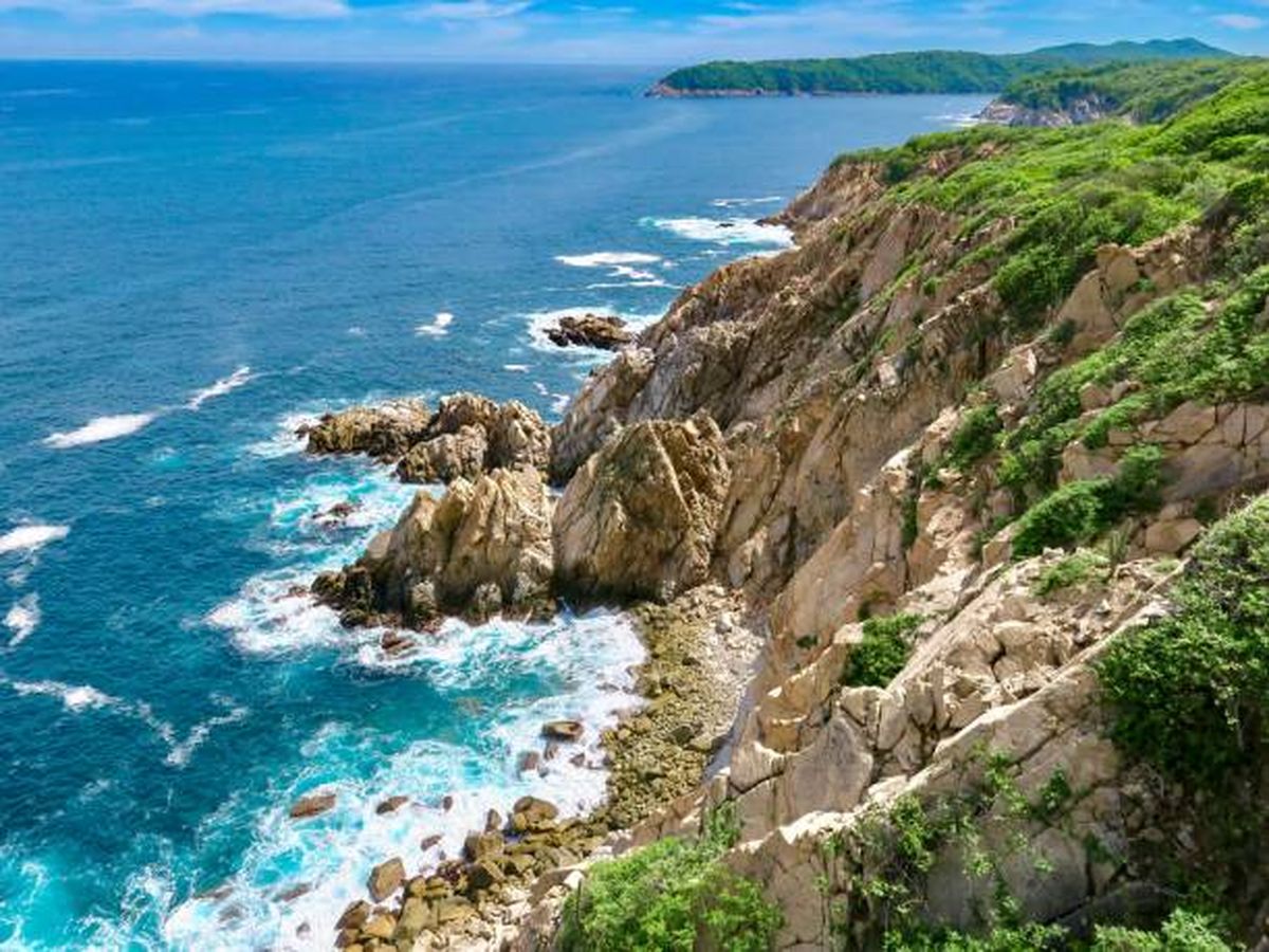 Conoce la diversidad de flora y fauna que habita en Huatulco.&nbsp;