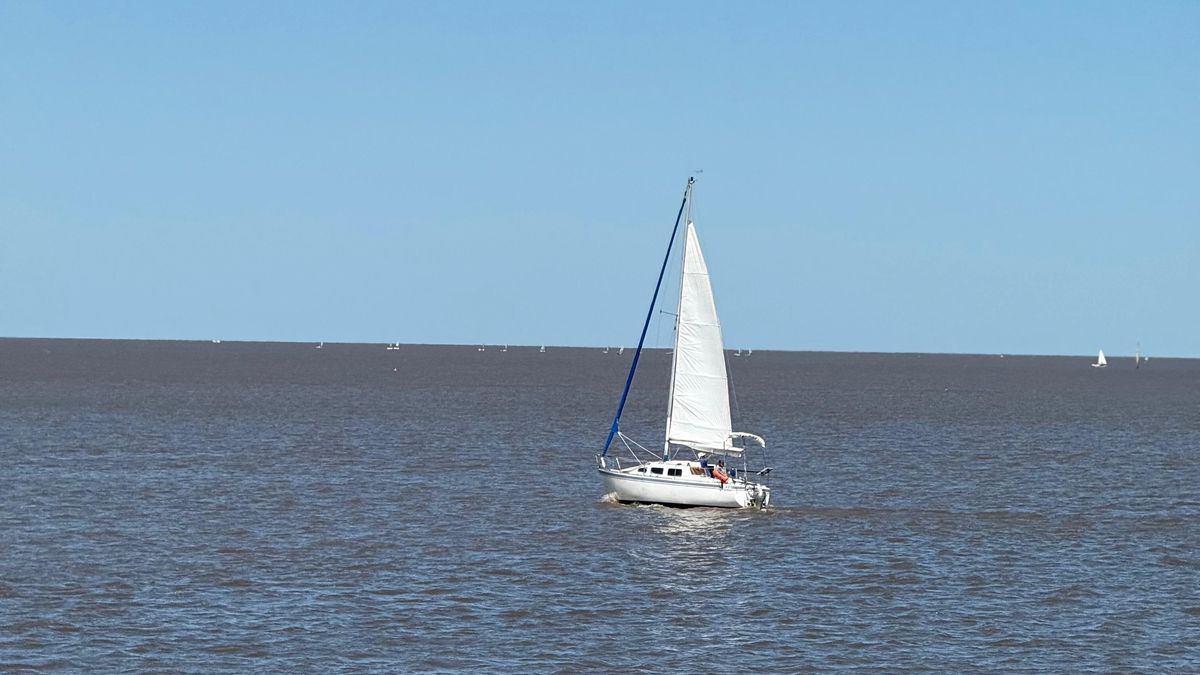 Los paseos en catamarán son recorridos cortos ideales para conocer el delta del Paraná y Tigre. Los paseos en catamarán son recorridos cortos ideales para conocer el delta del Paraná y Tigre.