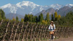 altText(Mendoza: un crisol de alta montaña, vino y gastronomía premium en Argentina)}
