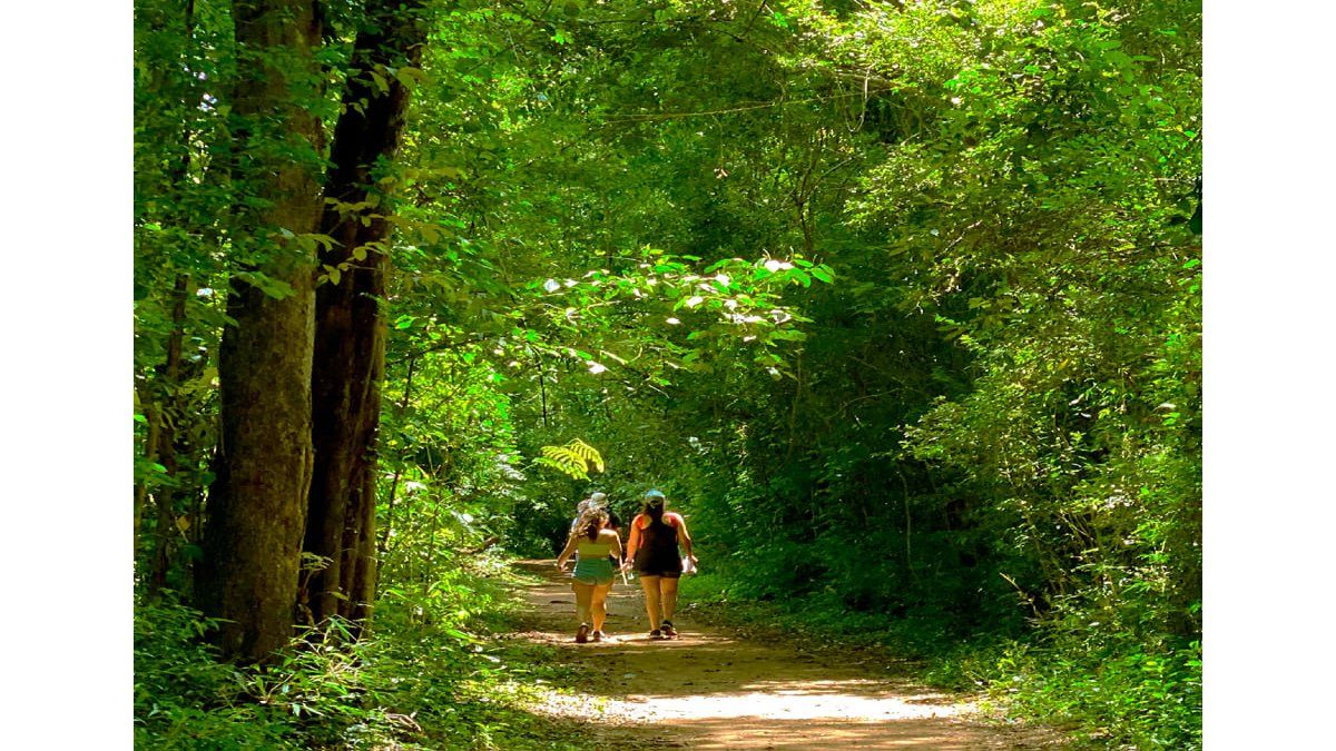 En los senderos de las Cataratas del Iguazú hay animales y mucha vegetación para conocer en familia.