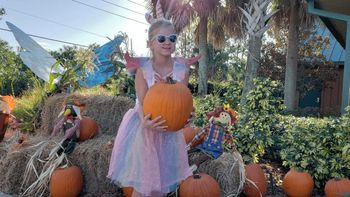 Todo lo que puedes hacer en Florida durante Halloween