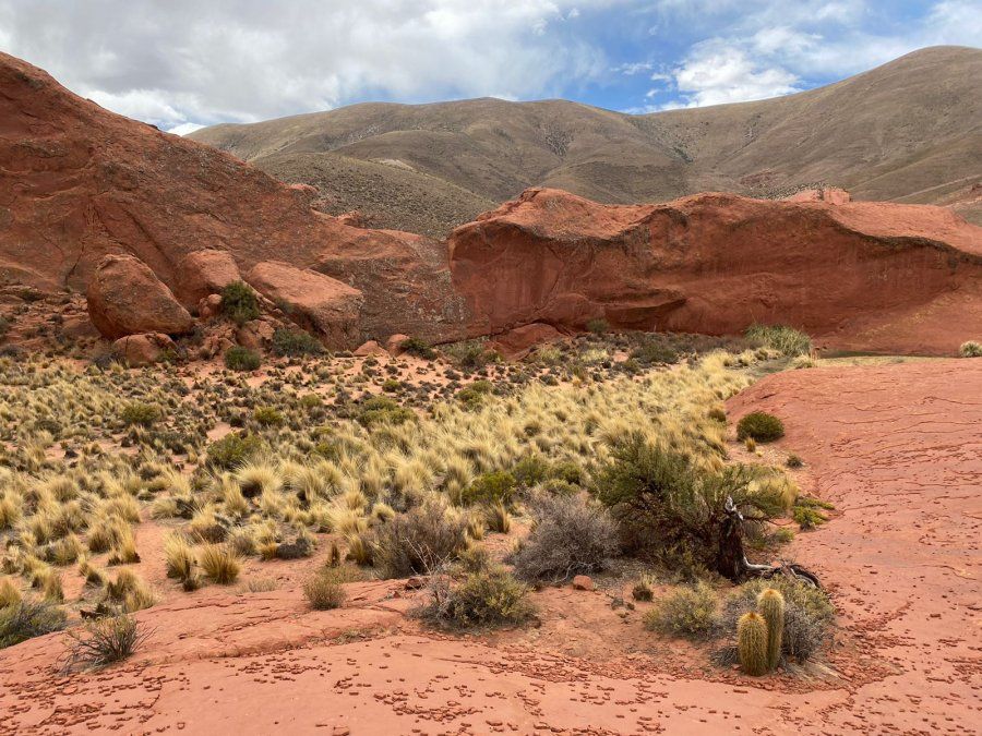 Jujuy es un destino que constantemente tiene lugares por descubrir y vivenciar.
