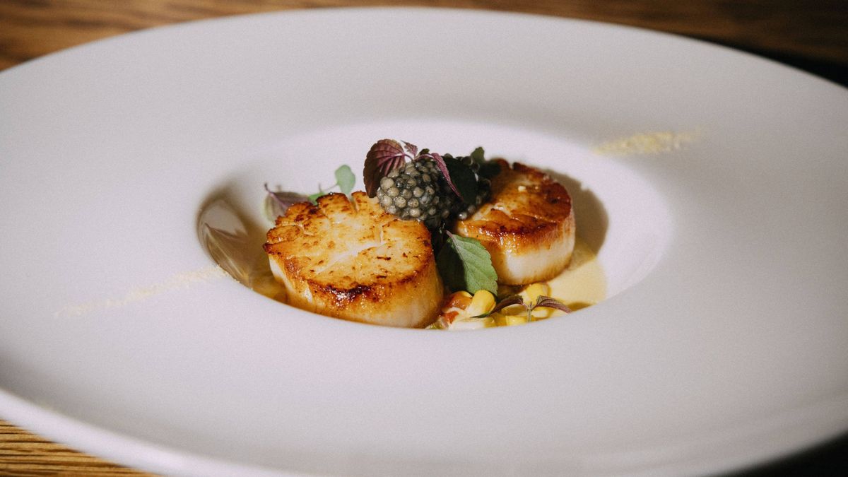 Alta gastronomía en los distinguidos restaurantes de Tampa.