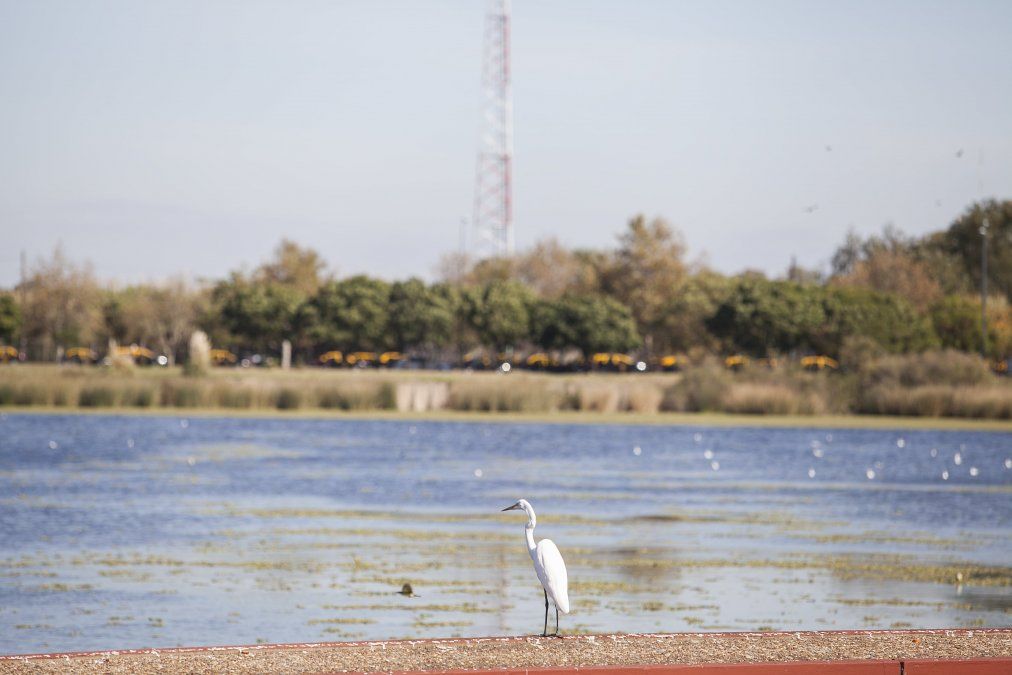 La Reserva Ecológica Lago Lugano de Buenos Aires cuenta con divertidas propuestas.