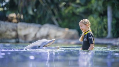En el parque Aquatica, en Orlando, los visitantes pueden interactuar con delfines.