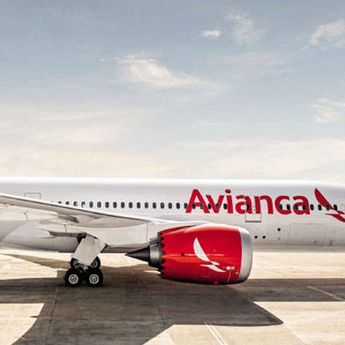 Equipaje permitido sin pagar más | Avianca Airlines