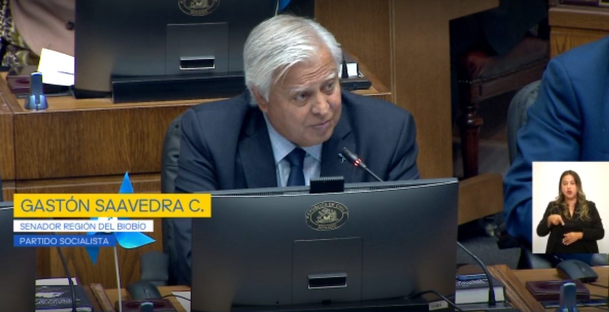 Senado: Gastón Saavedra (PS) pidió ampliar el plazo de indicaciones del proyecto de Reactivación al 4 de mayo.