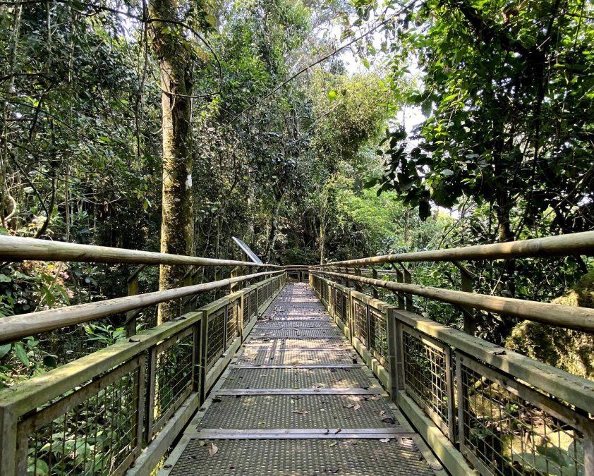 En las Cataratas del Iguazú hay pasarelas por todo el parque que guiarán a los atractivos más interesantes del lugar.