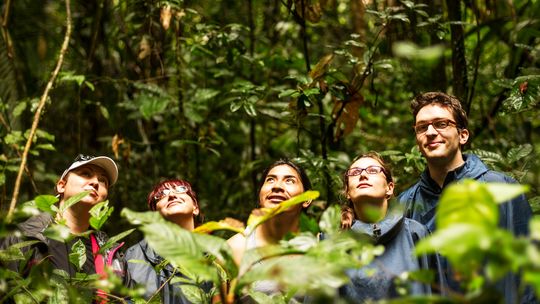 El Amazonas colombiano reúne naturaleza, cultura indígena y aventura en una experiencia que parte desde Leticia.
