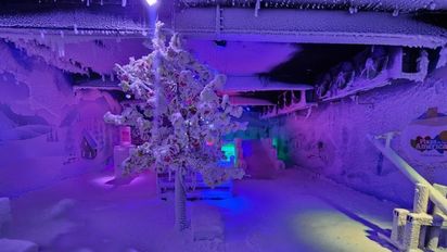 Centro Comercial Plaza de las Américas contará con un espacio único de interacción inmersiva para esta navidad.