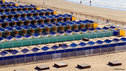 Precios que asustan: carpas que cuestan hasta un millón de pesos