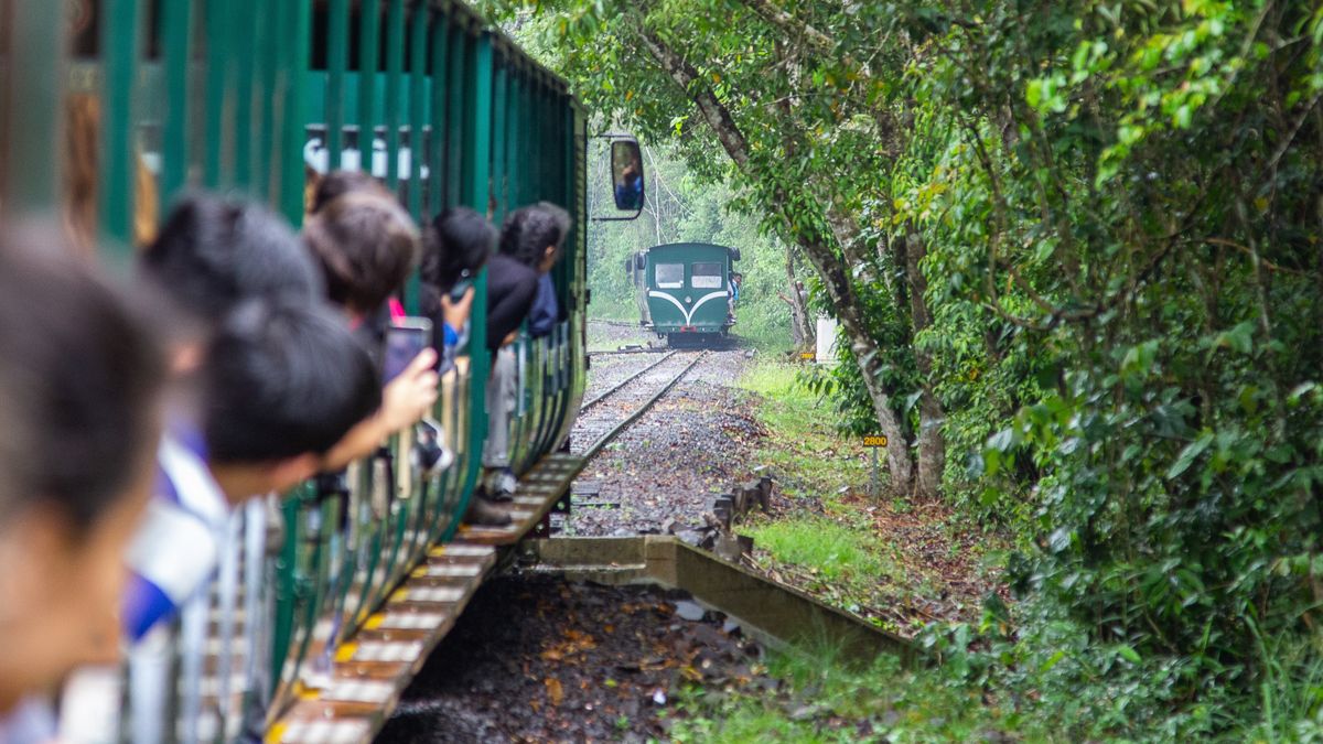 Cataratas del Iguazú: el Tren Ecológico de la Selva es uno de los trenes más interesantes del país y a su vez la mejor manera de recorrer el Parque Nacional Iguazú.