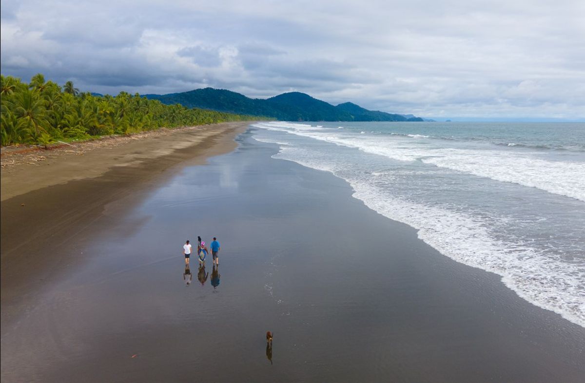 Awake Travel promueve estrategias para fortalecer el turismo sostenible en Colombia.