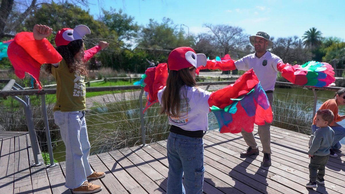 Verano 2025: en el Bioparque Temaikèn hay actividades de entretenimiento para niños. 