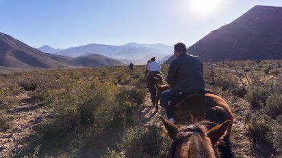 Verano 2025: las 3 mejores cabalgatas para hacer en familia